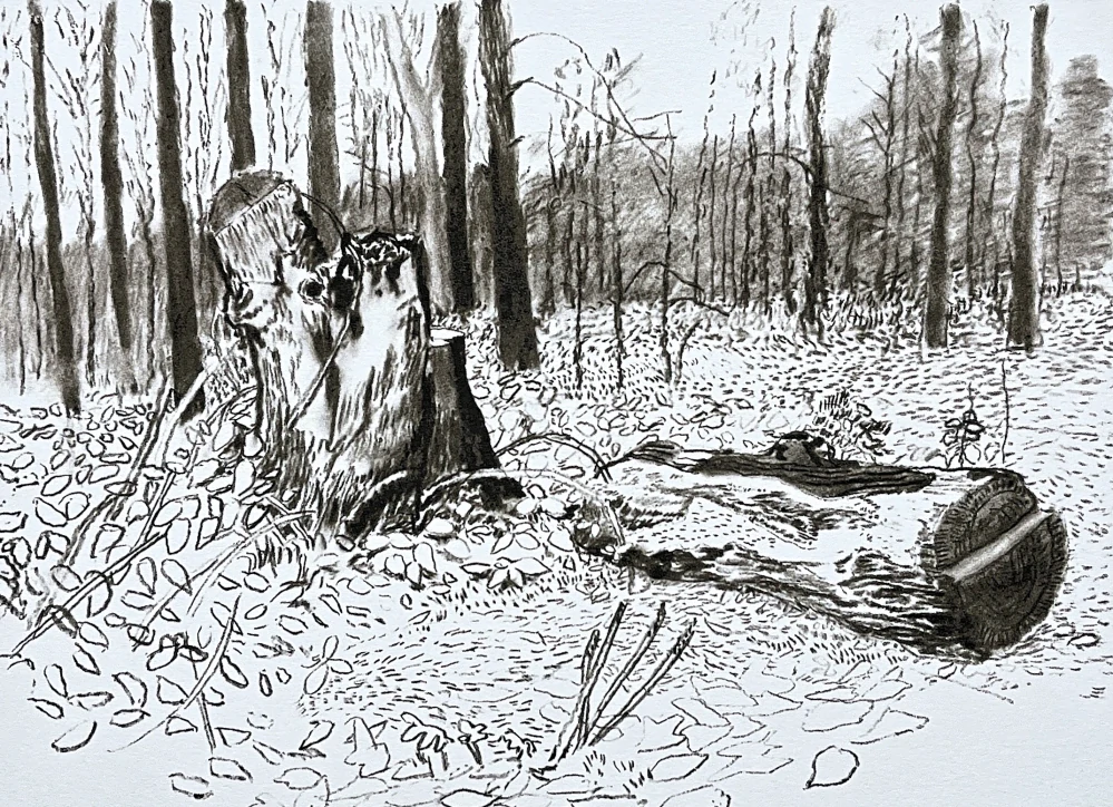 David Hockney - Vandalized Totem 100/500 - limitovaná edice s certifikátem, 50x35 cm
