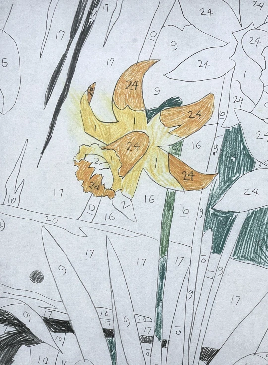 Andy Warhol - Yellow Daffodil with numbers 95/100 - edice Leo Castelli s certifikátem