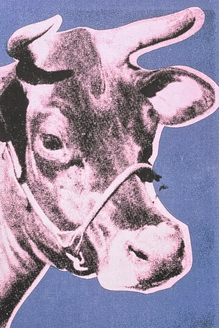 Andy Warhol - Cow modro-růžová 29/100 - edice Leo Castelli s certifikátem