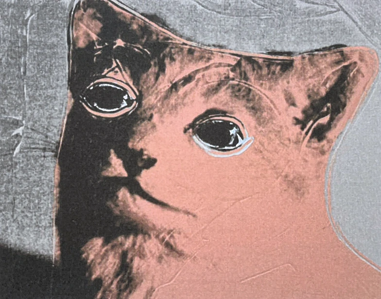 Andy Warhol - Cat růžovo-černá 6/100 - edice Leo Castelli s certifikátem