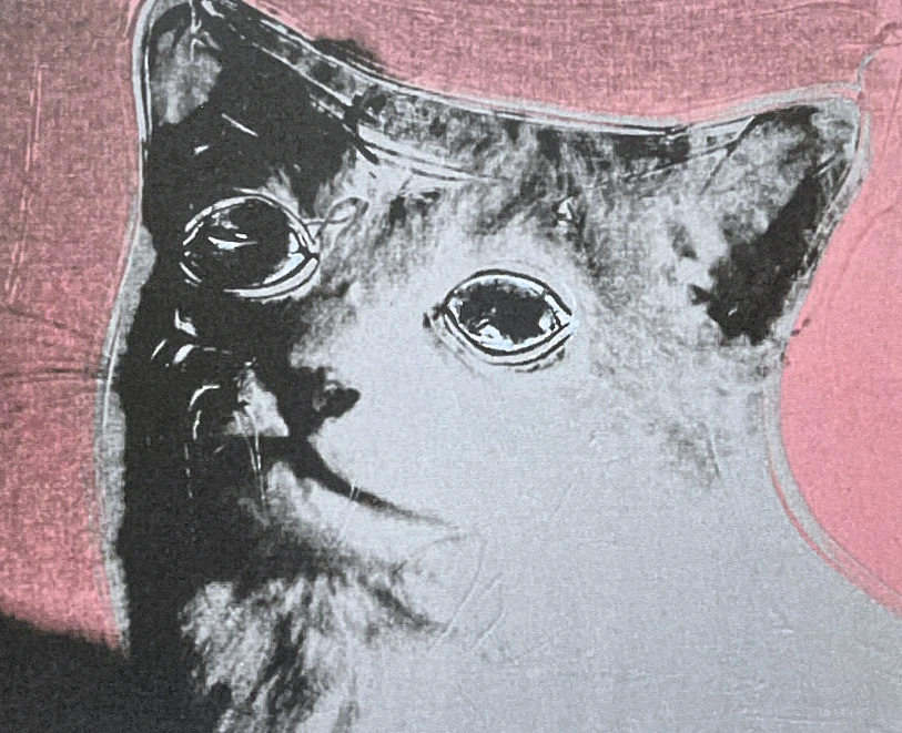 Andy Warhol - Cat bílo-růžová 13/100 - edice Leo Castelli s certifikátem