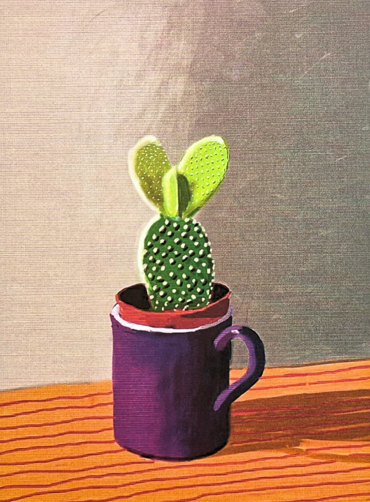 David Hockney - The cactus on a table 200/500 - limitovaná edice, s certifikátem, 35x50 cm