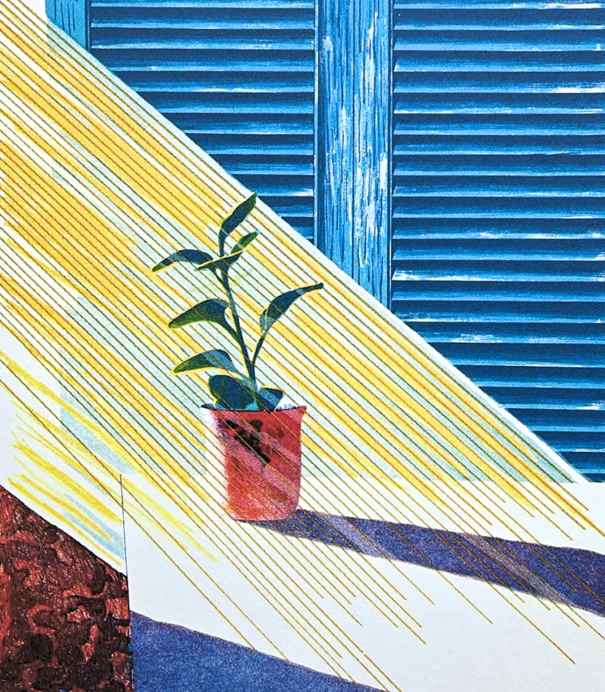David Hockney - Sun ll 277/500 - limitovaná edice, s certifikátem, 35x50 cm