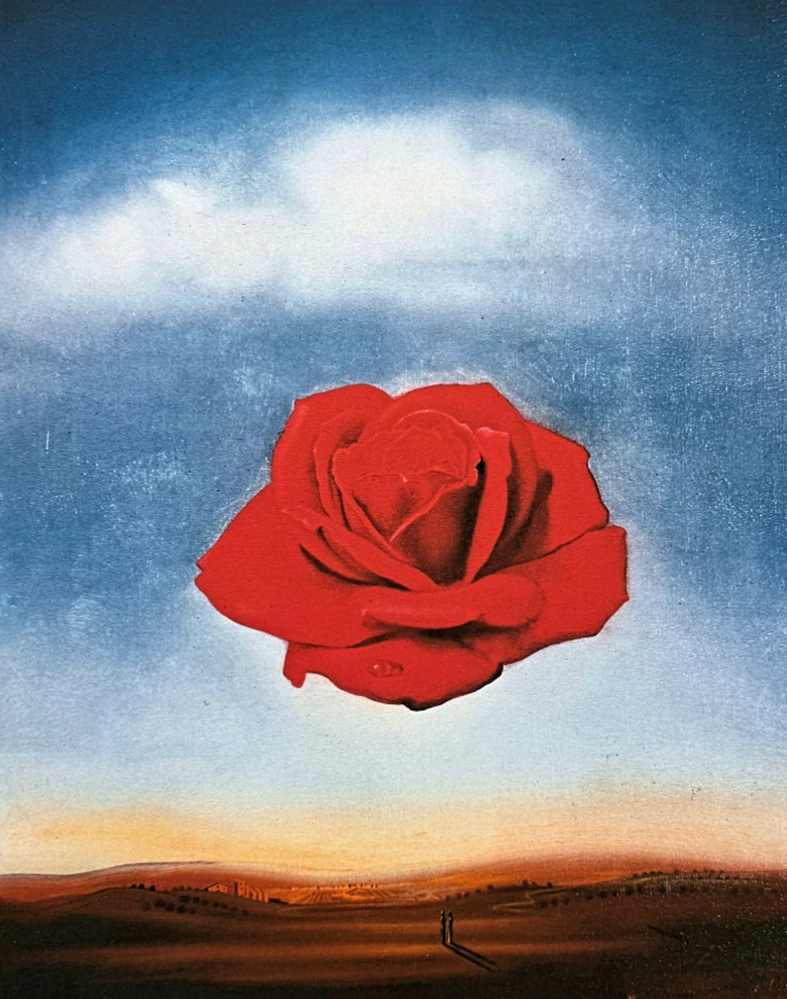 Salvador Dalí - Rose Meditative - signováno, limitovaná edice, 50x66cm