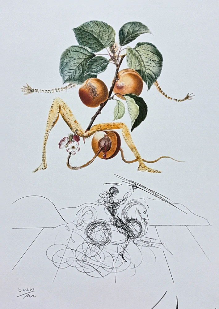 Salvador Dalí - Abricot Chevalier - signováno, limitovaná edice, 50x66cm