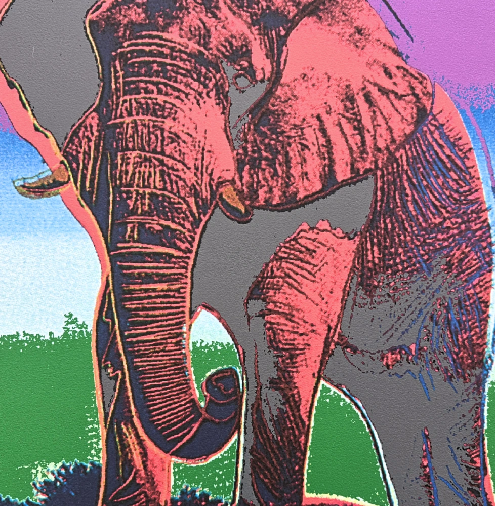 Andy Warhol - Elephant růžovo zelené pozadí x/2400 - 60x60 cm, limitovaná edice CMOA s certifikátem
