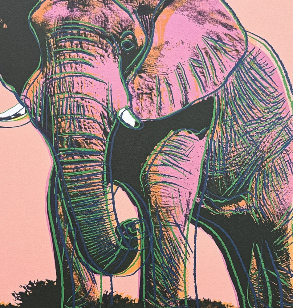 Andy Warhol - Elephant světle oranžové pozadí x/2400 - 60x60 cm, limitovaná edice CMOA s certifikátem