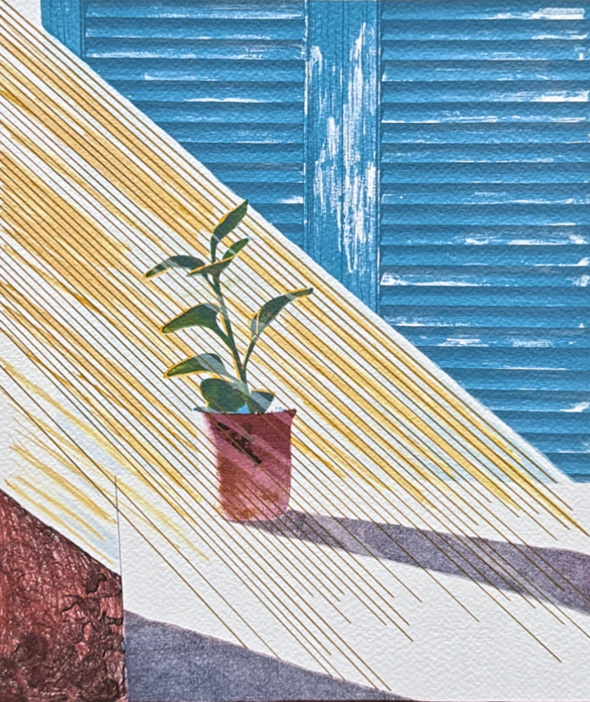 David Hockney - Sun 21/200 - limitovaná edice, s certifikátem, 35x50 cm