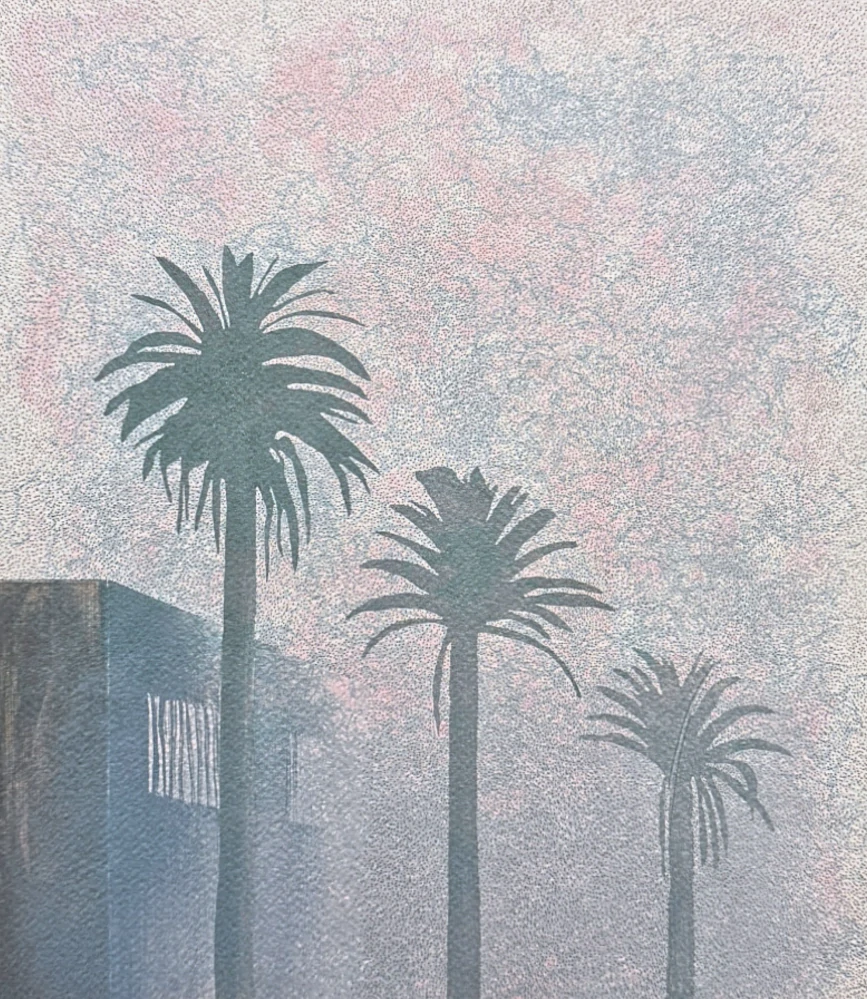 David Hockney - Mist 6/200 - limitovaná edice, s certifikátem, 35x50 cm