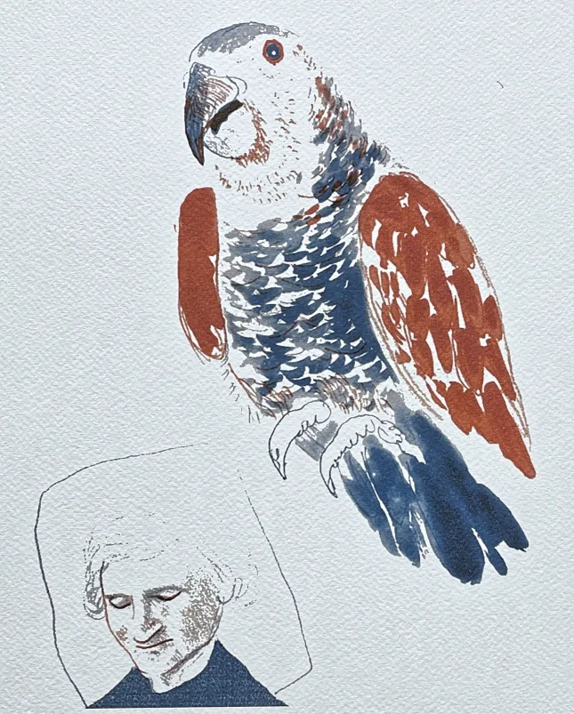 David Hockney - My Mother with Parrot 36/200 - limitovaná edice, s certifikátem, 35x50 cm