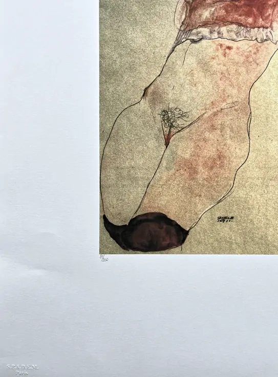 Egon Schiele - Nude with red Blouse 81/200 - limitovaná edice, s certifikátem, 50x70 cm