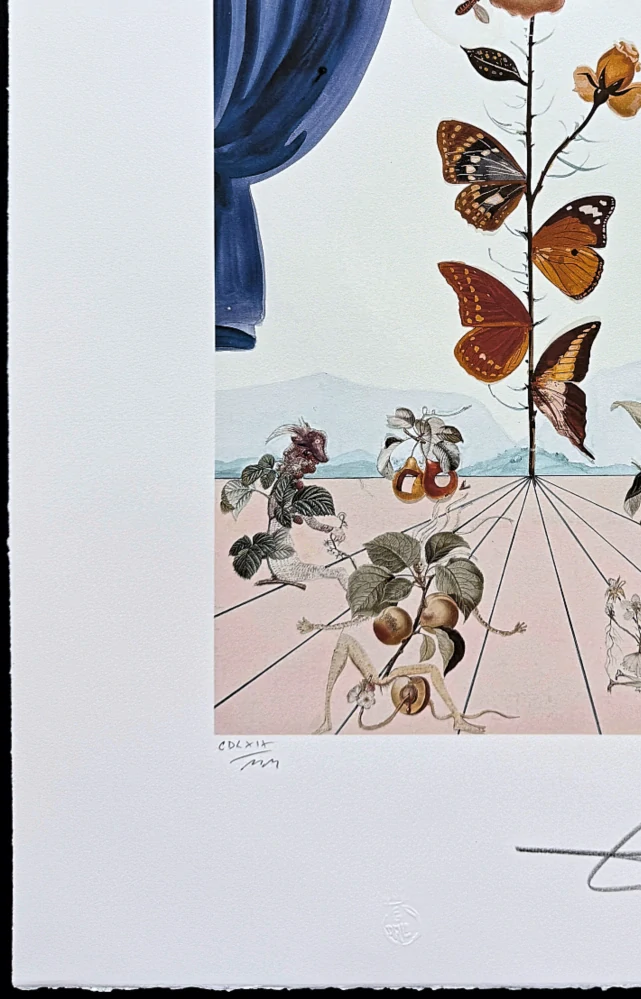 Salvador Dalí - La rose papillon - signováno, limitovaná edice, 50x66cm