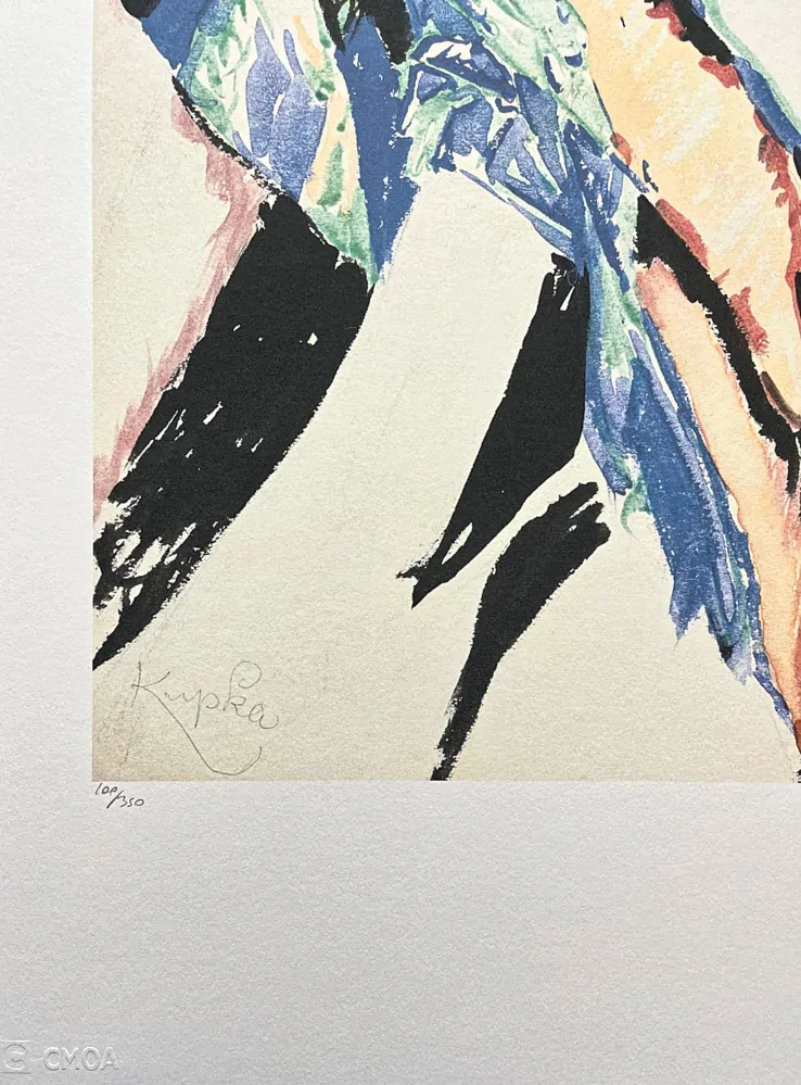 František Kupka - Study for Conte de pistils 100/350- limitovaná edice s certifikátem, 50x70cm