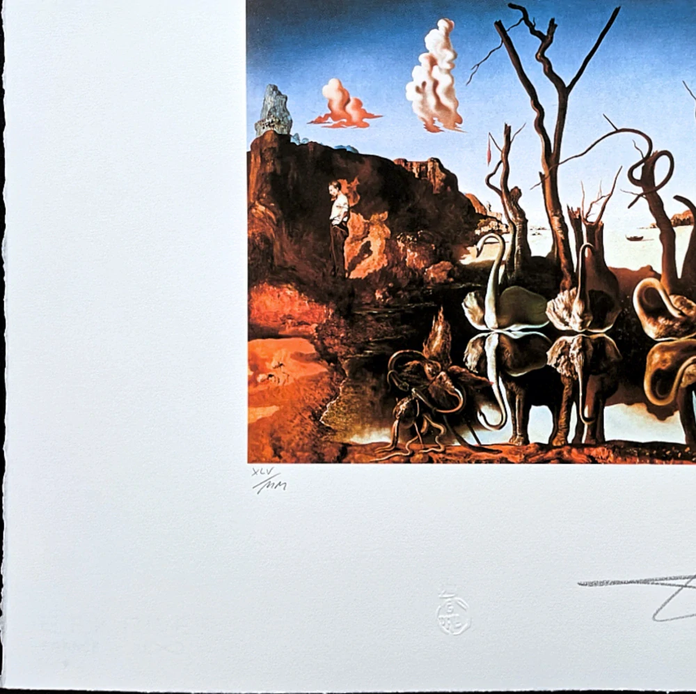 Salvador Dalí - Swans Reflecting Elephants - signováno, limitovaná edice, 50x66cm