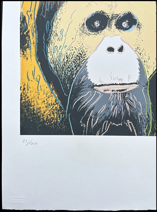 Andy Warhol - Orangutan hnědý 23/100 - edice Leo Castelli s certifikátem
