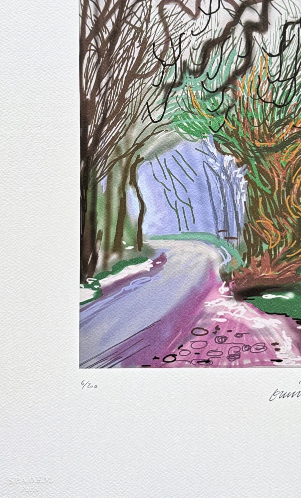David Hockney -  The Arrival of Spring in Woldgate, East Yorkshire 6/200 - limitovaná edice, s certifikátem, 35x50 cm