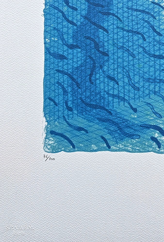 David Hockney - Pool made with paper and blue ink for book 76/200 - limitovaná edice, s certifikátem, 35x50 cm