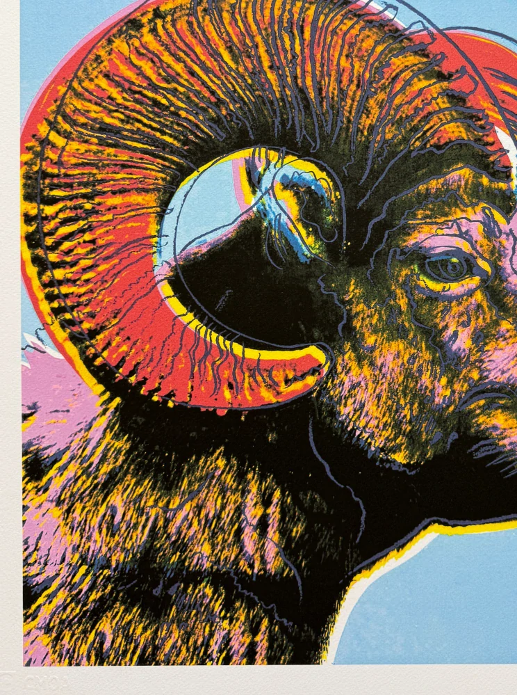 Andy Warhol - Bighorn ram růžovo-modrý 127/500 - signováno, 50x50cm, limitovaná edice CMOA s certifikátem