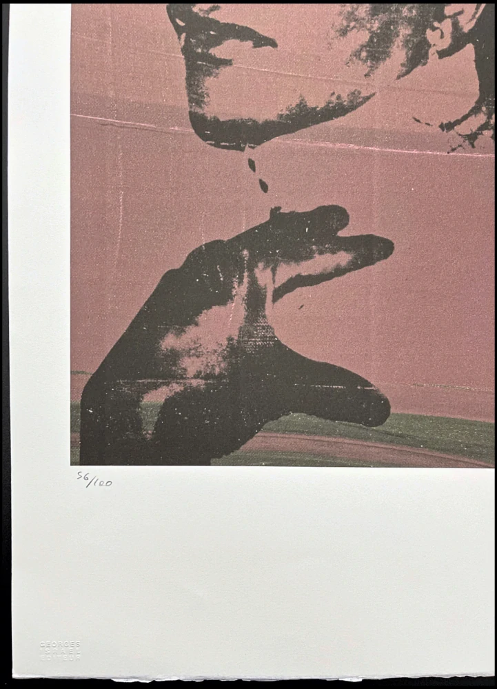 Andy Warhol - Alphanso Panell 56/100 - edice Leo Castelli s certifikátem