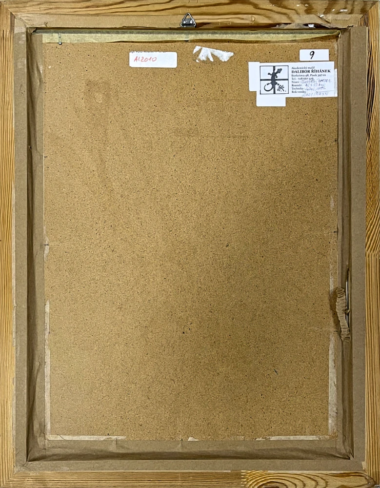 Dalibor Říhánek - Sluneční chodec - karton + akryl a uhel, rámováno, zaskleno