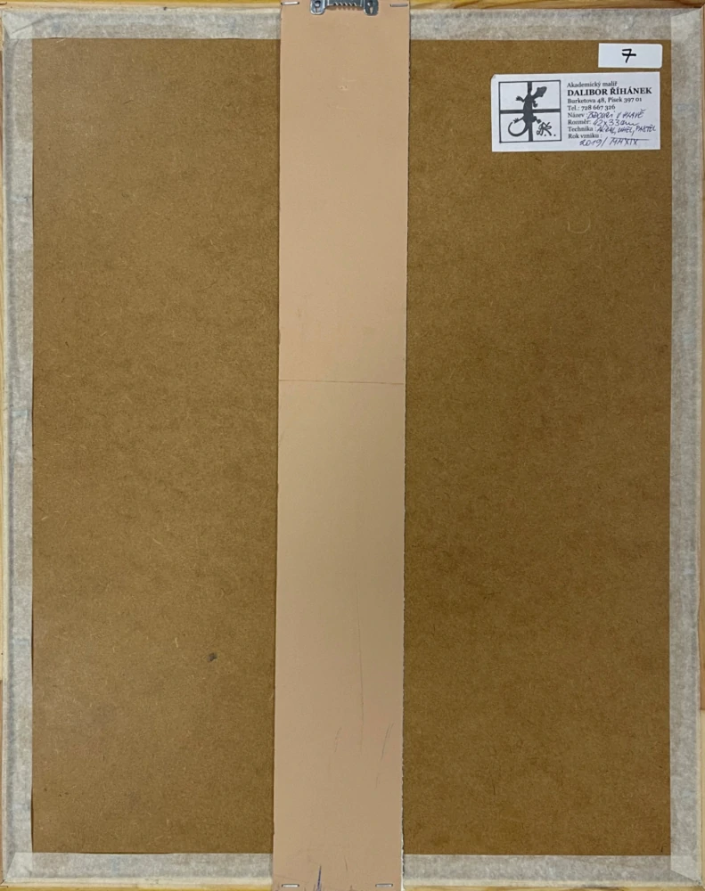 Dalibor Říhánek - Brouci v hlavě - karton + akryl a uhel, rámováno, zaskleno