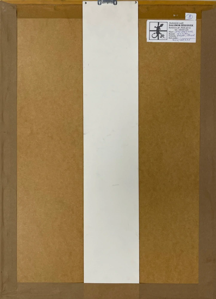 Dalibor Říhánek - Letní den a noc - pastel a velur, rámováno, zaskleno