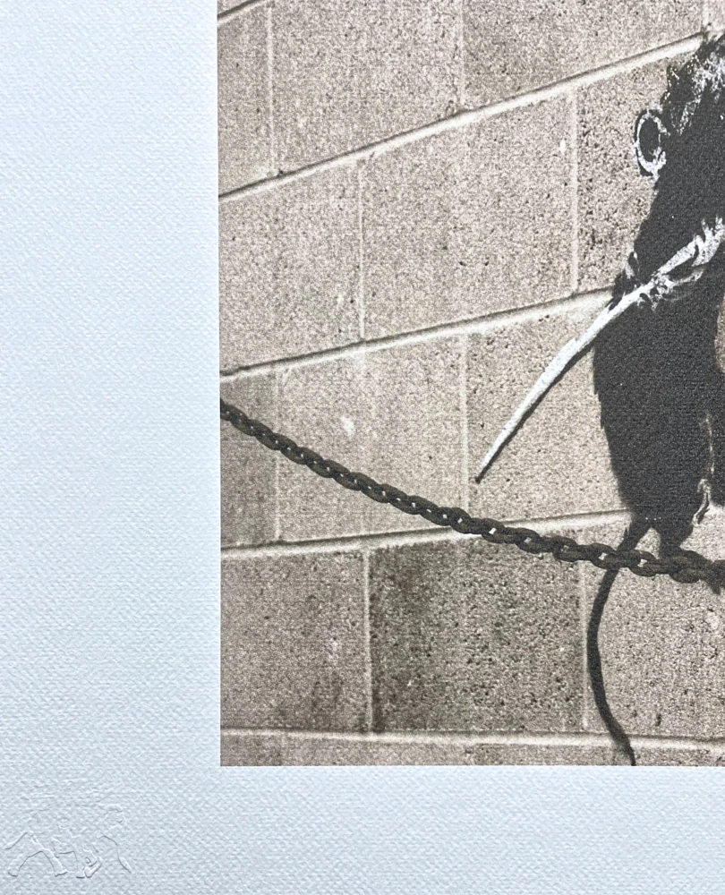 Banksy - Tightrope Rat 75/150 - číslovaná edice s certifikátem, razítko, 50x35cm