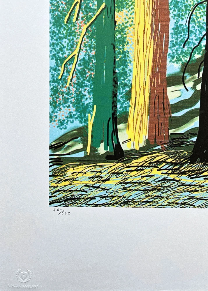 David Hockney - The Yosemite suite no.7 64/500 - limitovaná edice s certifikátem, 35x50 cm