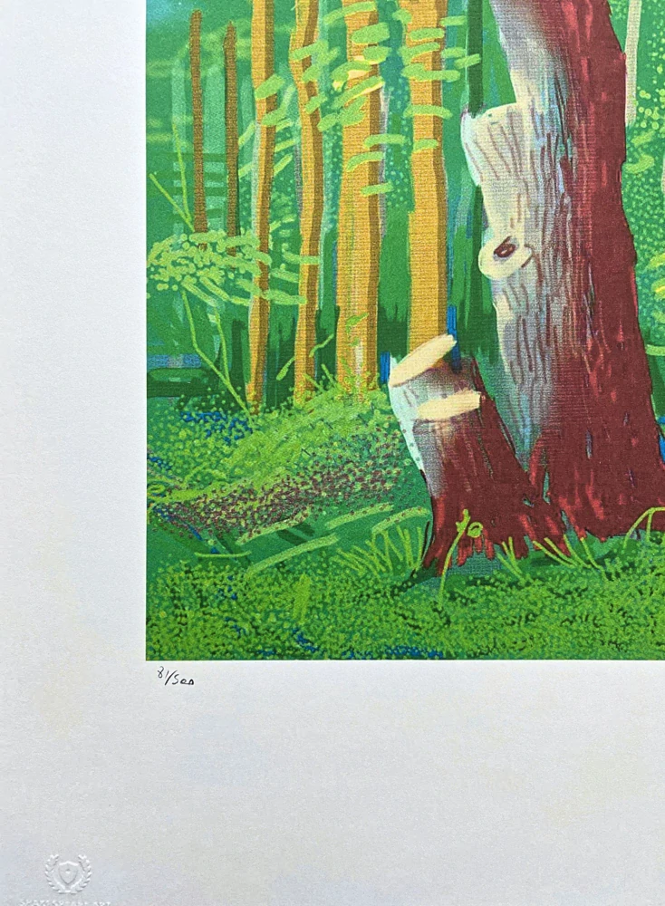 David Hockney - The Arrival of Spring in Woldgate no.24 81/500 - limitovaná edice s certifikátem, 35x50 cm