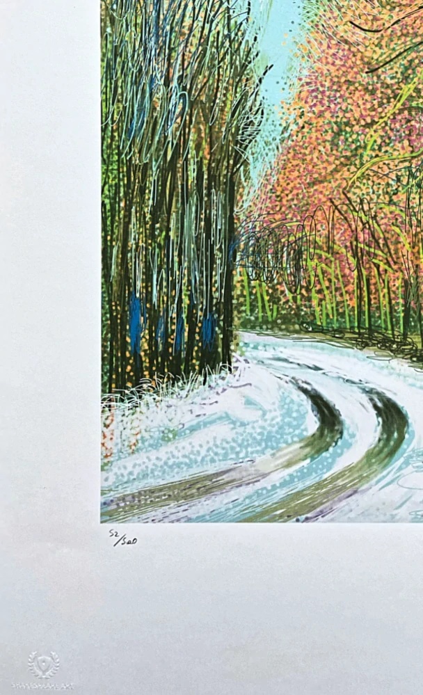 David Hockney - The Arrival of Spring in Woldgate no.8 x/500 - limitovaná edice s certifikátem, 35x50 cm