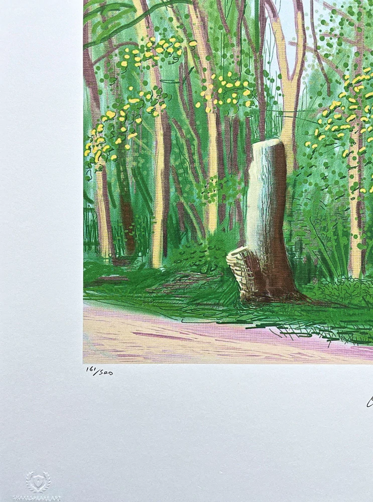David Hockney - The Arrival of Spring in Woldgate no.13 161/500 - limitovaná edice s certifikátem, 35x50 cm
