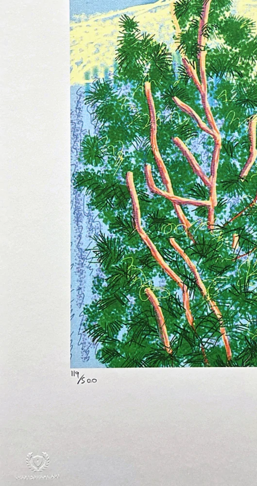 David Hockney - The Yosemite suite no.9 119/500 - limitovaná edice s certifikátem, 35x50 cm