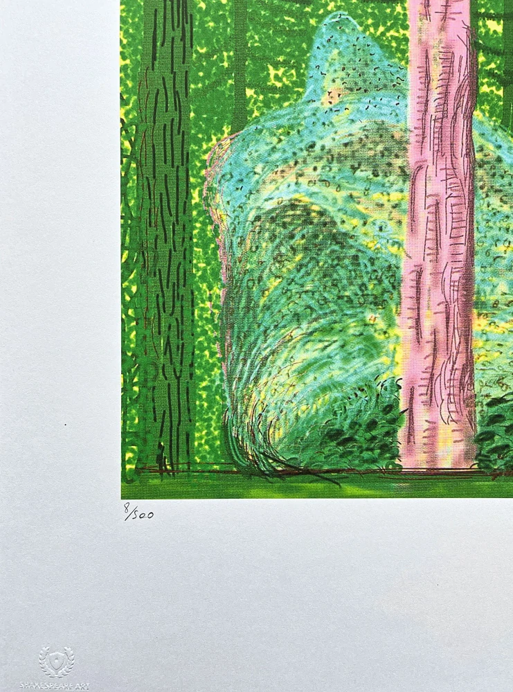 David Hockney - The Yosemite suite no.19 8/500 - limitovaná edice s certifikátem, 35x50 cm