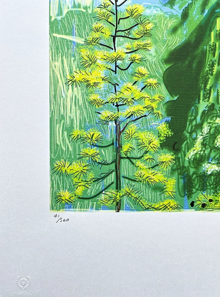 David Hockney - The Yosemite suite no.20 41/500 - limitovaná edice s certifikátem, 35x50 cm