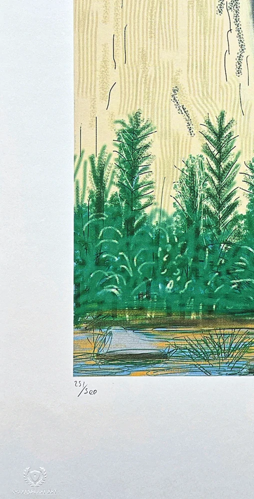 David Hockney - The Yosemite suite no.22 x/500 - limitovaná edice s certifikátem, 35x50 cm