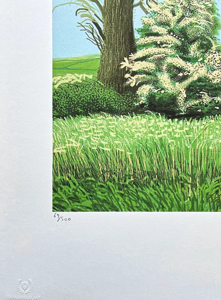 David Hockney - The Arrival of Spring in Woldgate with white Bushes 69/500 - limitovaná edice s certifikátem, 35x50 cm