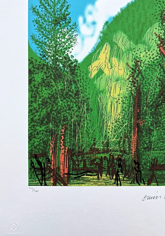David Hockney - The Yosemite suite - Black Tree 357/500 - limitovaná edice s certifikátem, 35x50 cm