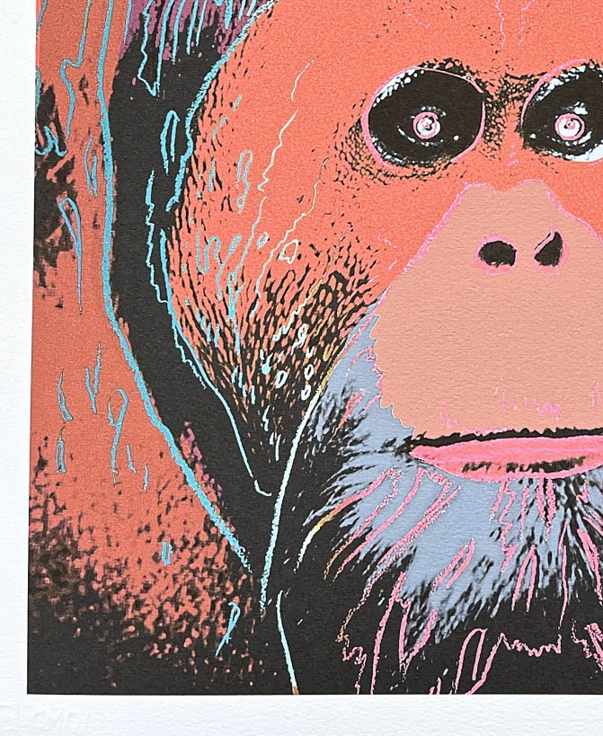 Andy Warhol - Orangutan červeno-vínový 190/500 - signováno, 50x50cm, limitovaná edice CMOA s certifikátem