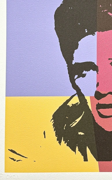 Andy Warhol - Elvis Presley v barevných obdélnících 94/500 - signováno, 50x50cm, limitovaná edice CMOA s certifikátem
