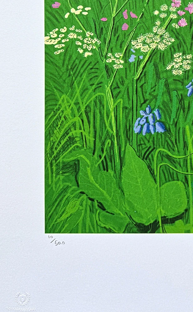 David Hockney - The Arrival of Spring in Woldgate - Salts Mills 10/500 - limitovaná edice s certifikátem, 35x50 cm