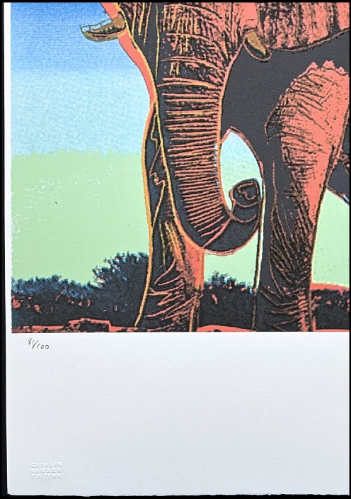 Andy Warhol - Elephnat na zeleno-modrém pozadí 81/100 - edice Leo Castelli s certifikátem
