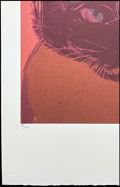 Andy Warhol - The Great Cat Head růžová x/100 - edice Leo Castelli s certifikátem
