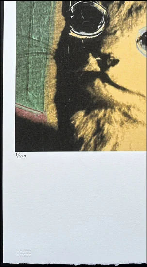Andy Warhol - Cat žluto-zelená 4/100 - edice Leo Castelli s certifikátem