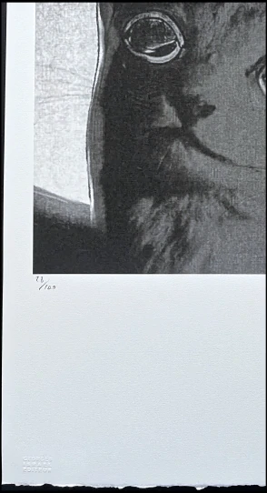 Andy Warhol - Cat šedo-bílá 28/100 - edice Leo Castelli s certifikátem