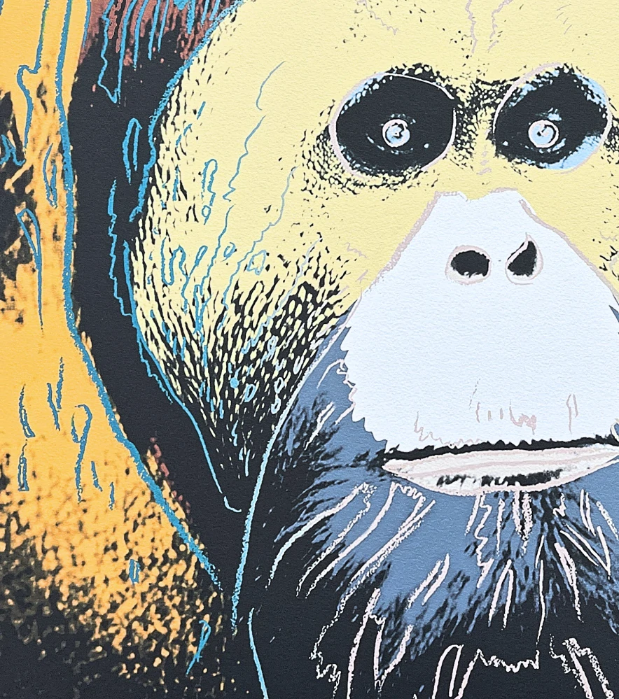 Andy Warhol - Orangutan hnědý 451/2400 - 60x60cm, limitovaná edice CMOA s certifikátem