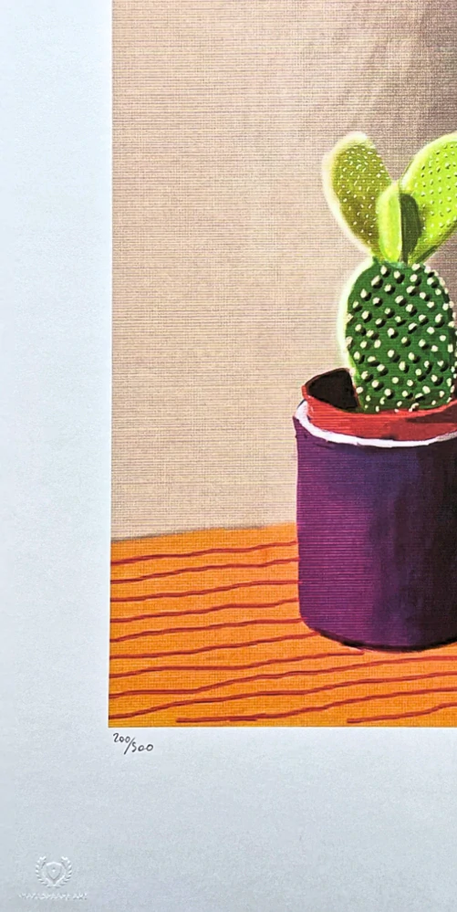 David Hockney - The cactus on a table 200/500 - limitovaná edice, s certifikátem, 35x50 cm