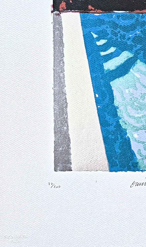 David Hockney - Steps with Shadow 77/200 - limitovaná edice, s certifikátem, 35x50 cm