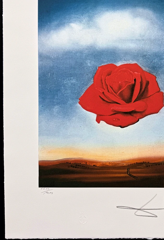 Salvador Dalí - Rose Meditative - signováno, limitovaná edice, 50x66cm