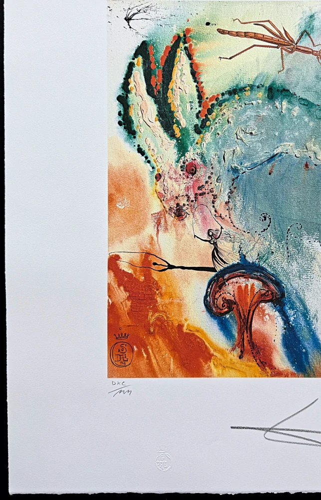 Salvador Dalí - Alice in Wonderland - signováno, limitovaná edice, 50x66cm