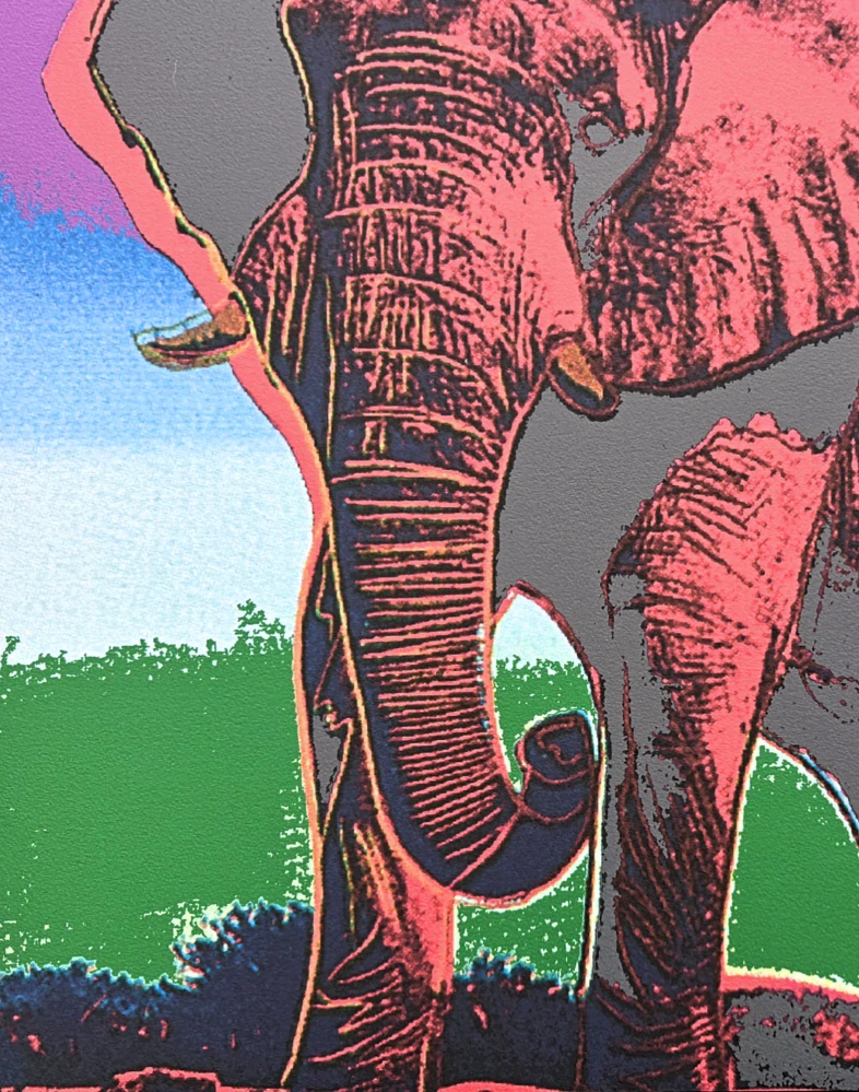 Andy Warhol - Elephant růžovo zelené pozadí x/2400 - 60x60 cm, limitovaná edice CMOA s certifikátem